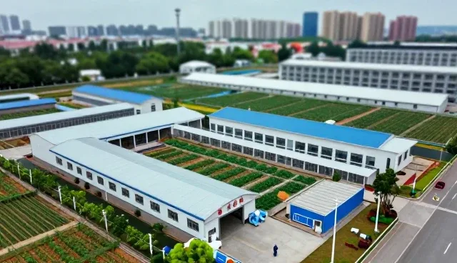 健康咨询在现代医疗场景中的多维应用解析