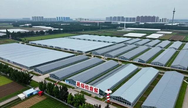 慢病管理服务的日常维护与使用要点解析
